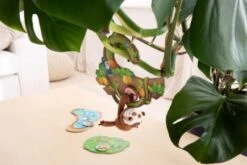 HABA 306599 Meine Ersten Spiele – Faultier, Komm Mit! 11 HABA 306599 Meine Ersten Spiele – Faultier, Komm Mit! -Haba Verkaufsgeschäft 24259479 04