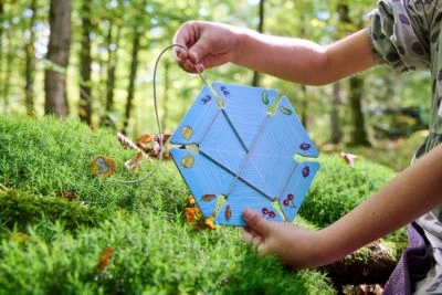 HABA 306567 Walli Wickelspinne 7 HABA 306567 Walli Wickelspinne – Bild 5