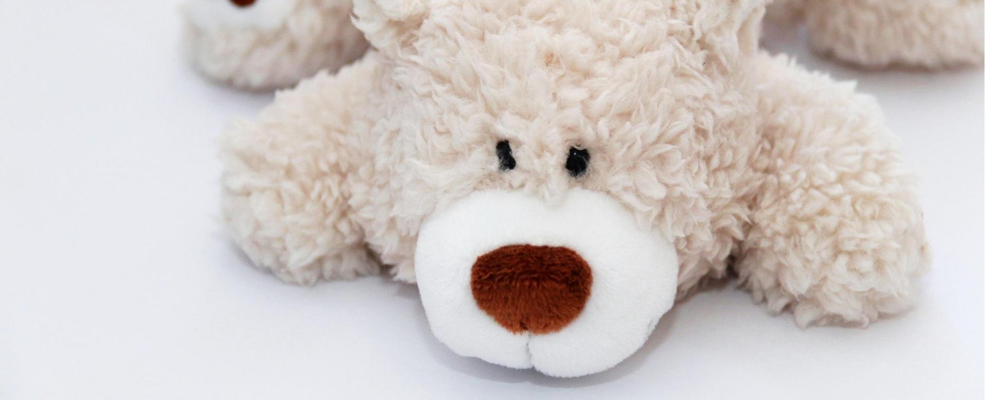 Haba Verkaufsgeschäft -Haba Verkaufsgeschäft teddy 8783348 1920